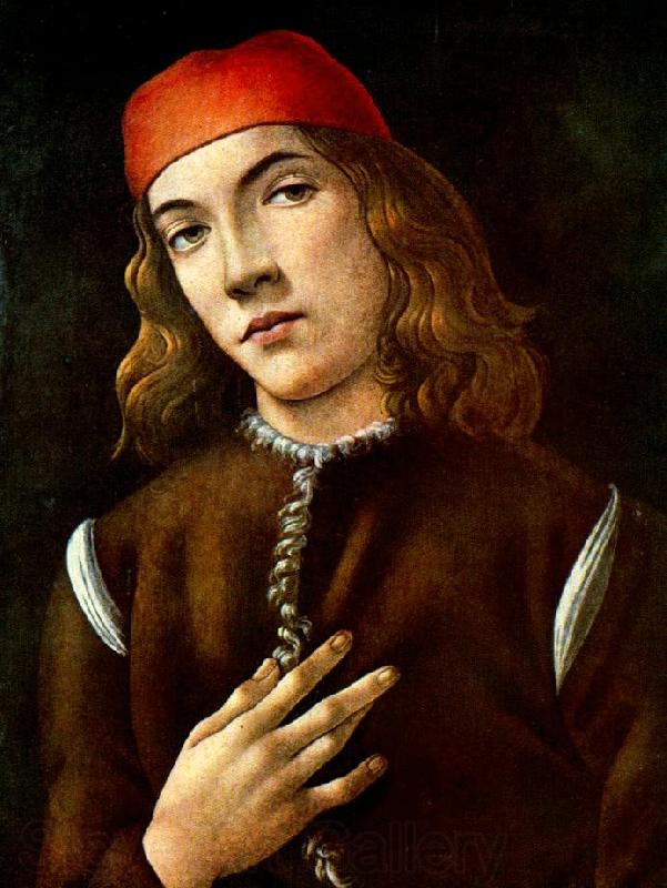 BOTTICELLI, Sandro Portrait of a Young Man  fdgdf Spain oil painting art